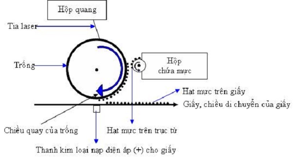 nguyên lý hoạt động máy photocopy